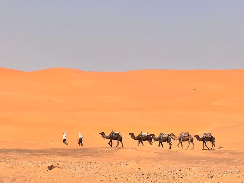 Desierto merzoua